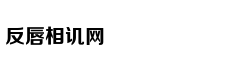 消息人士：FAA去年曾考虑停飞